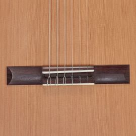 Hanika-Basisklasse-50-PC-Palisander-Steg
